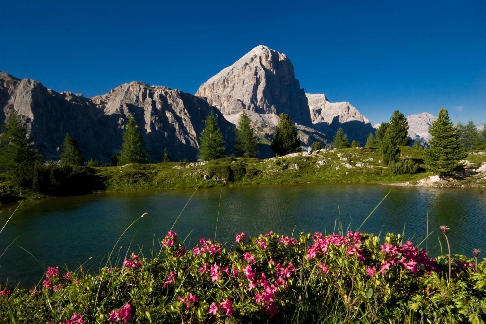 Ciasa Vervei Cortina d'Ampezzo Luaran gambar